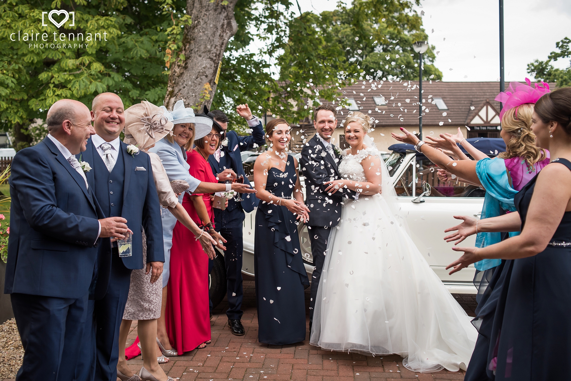 Dalziel Park confetti